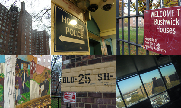 Scenes from NYCHA developments around the city. Clockwise from top left: Red Hook, Wagner, Bushwick, Castle Hill, Ravenswood, Kingsborough.