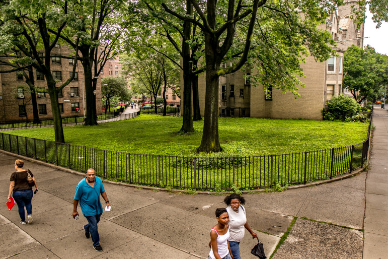 Green space at Ingersoll Houses, one of three NYCHA developments affected by a proposal for affordable housing that concerns some tenant leaders.
