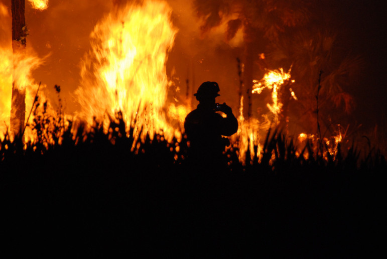 A wildfire at Florida Panther National Wildlife Refuge 