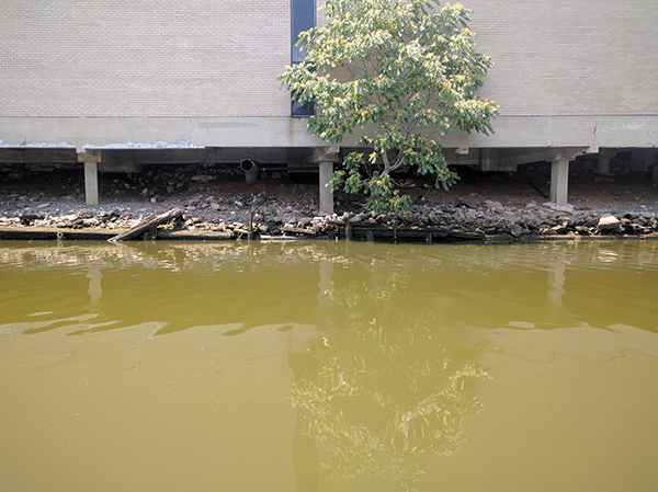 The creek is a federal Superfund site, which offers a complex mix of advantages and disadvantages, but certainly doesn't auger for a quick clean-up.