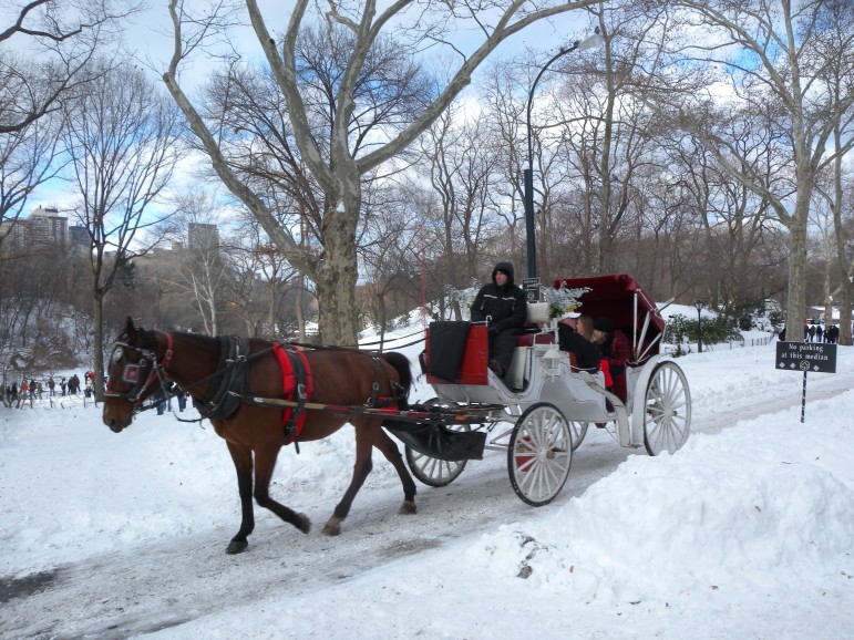 A snowy carriage ride in Central Park.