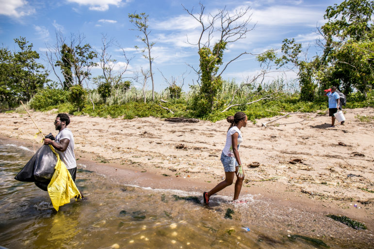 A clean-up on Jamaica Bay in July. The future of the bay depends on sizable numbers of New Yorkers visiting it to become stakeholders in its protection. But larger numbers of visitors will present a new ecological challenge.