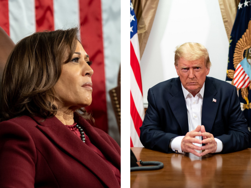 Harris, Trump