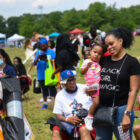 Roy Wilkins Park