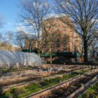 NYCHA Bay View Houses