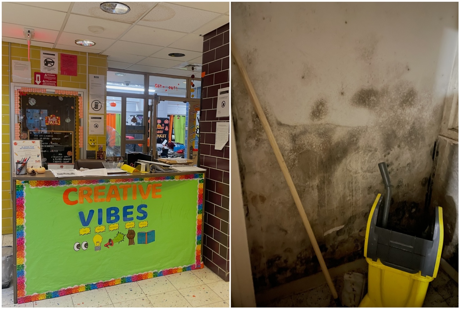 NYCHA Has Ignored Mold at This Brooklyn After-School Center for a Year, Staffers Say