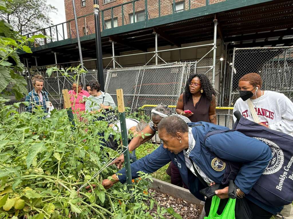 Got a Climate-Friendly Idea for NYCHA? This Grant Could Help Fund It