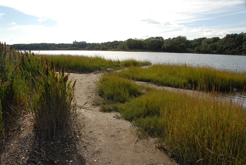 Pelham Bay Park lagoon