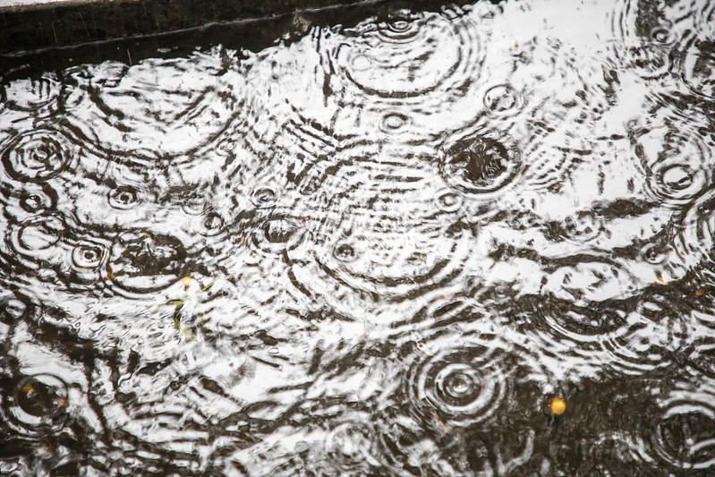 rainfall in queens